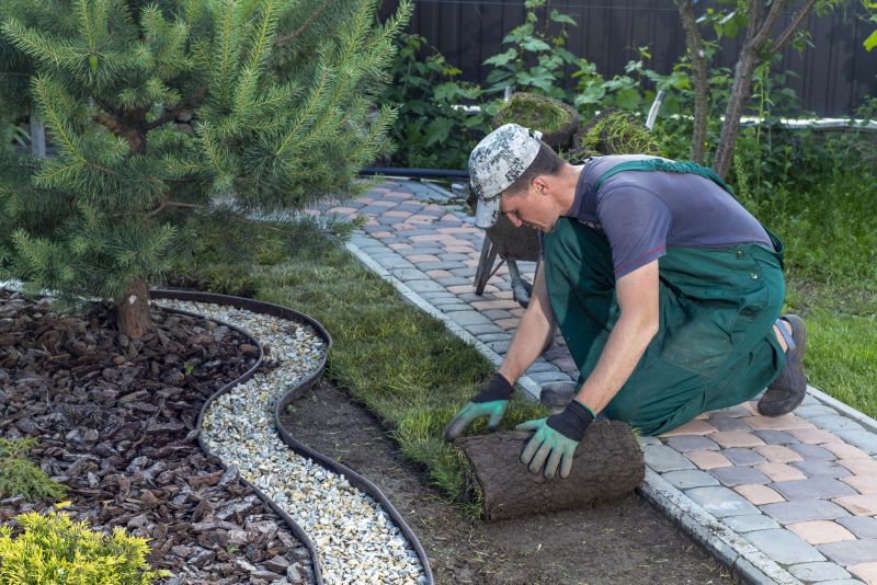 How Professional Landscaping Improves Curb Appeal