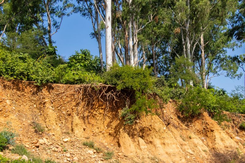 Cost of Erosion Control — Cost of erosion control