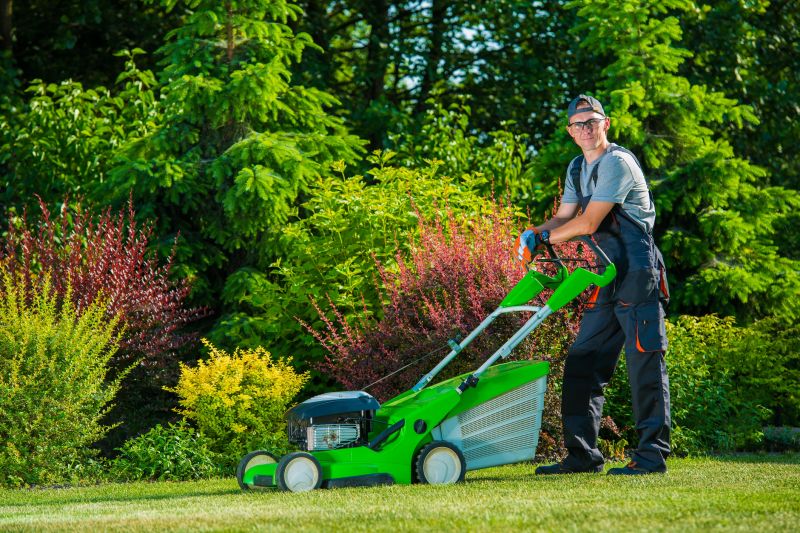 Lawn Repair Service