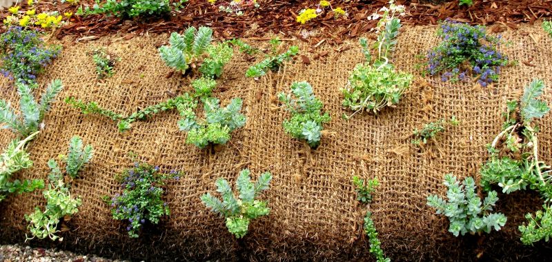 Environmental Consulting Firms